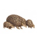 Pin Hedgehog family 81